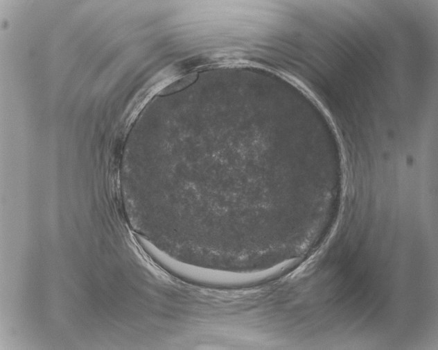 X0000057081289200509231614