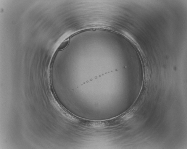 X0000057081291200509231614