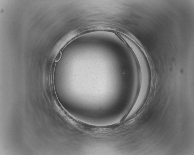 X0000057081293200509231614