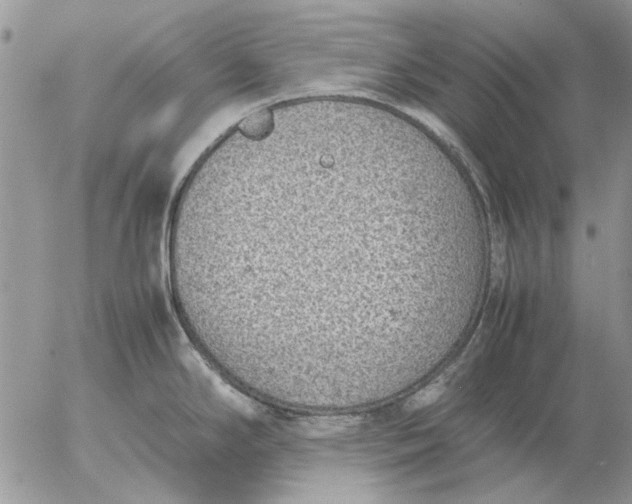 X0000057081294200509231614