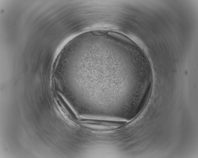 X0000057081296200509231614