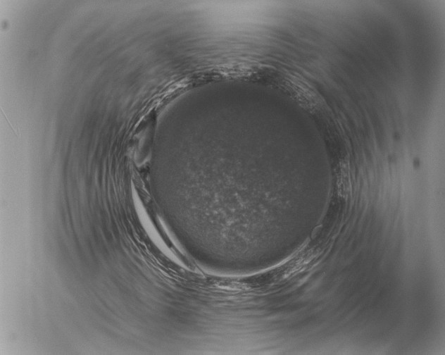 X0000057081298200509231613