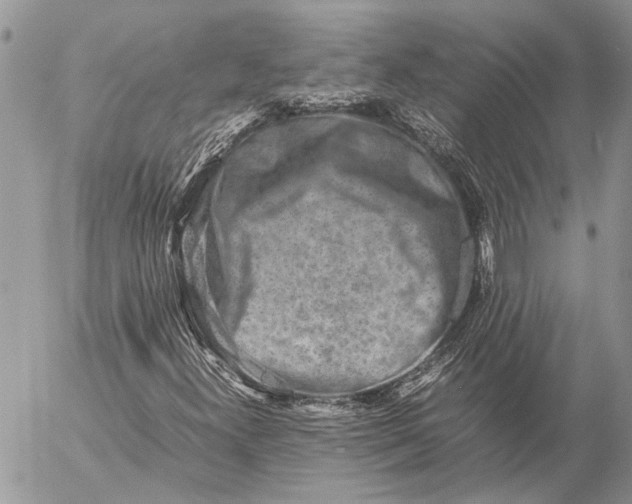 X0000057081300200509231613