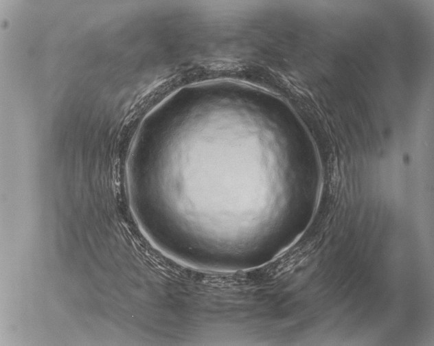 X0000057081301200509231613