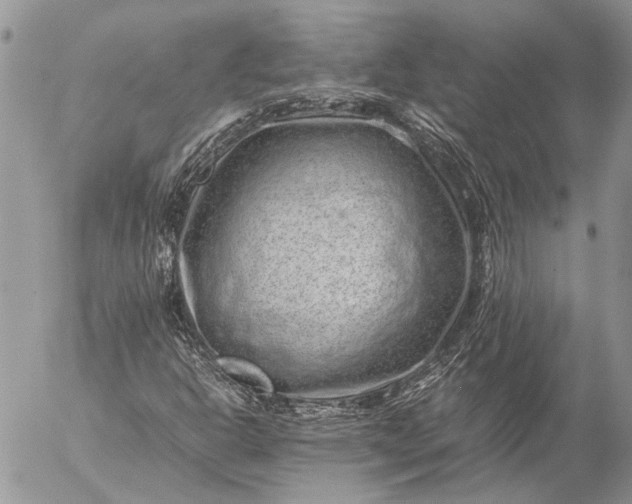 X0000057081302200509231613