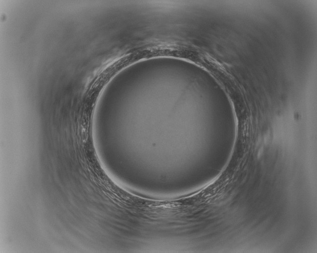 X0000057081303200509231613