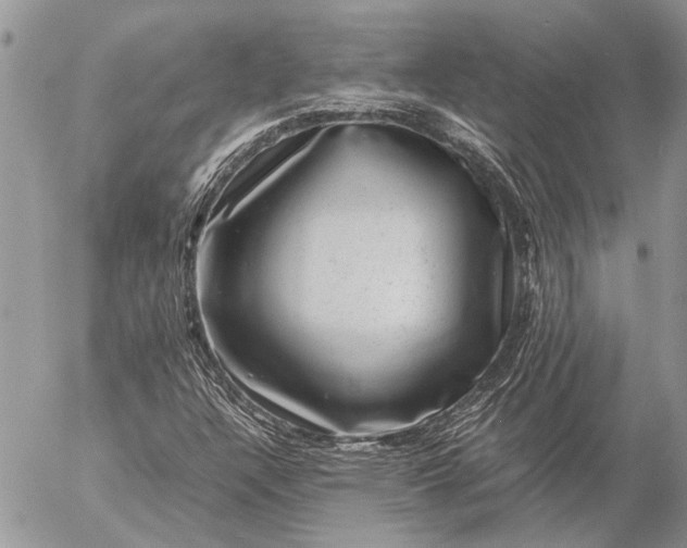 X0000057081304200509231613