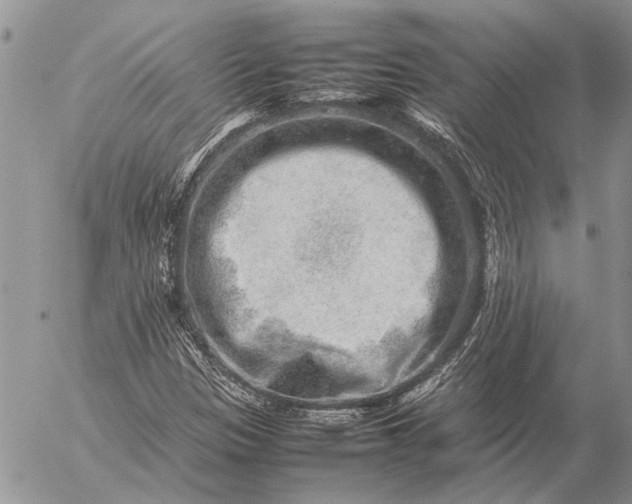 X0000057081305200509231613