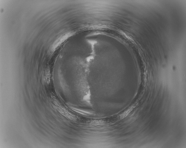 X0000057081306200509231613