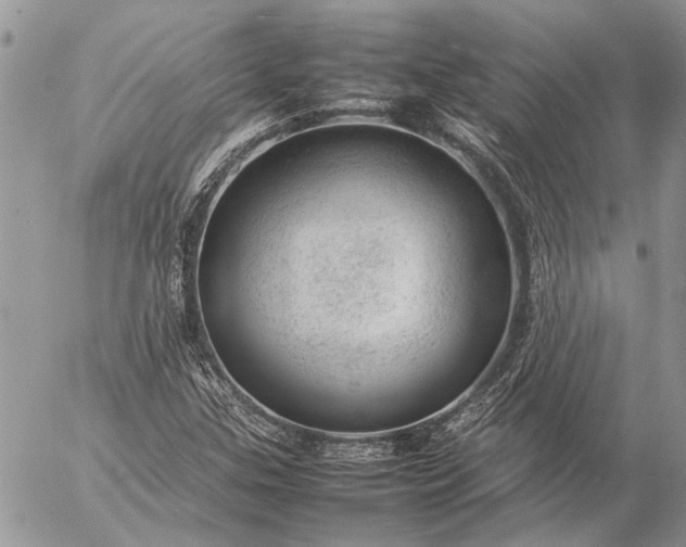 X0000057081307200509231613