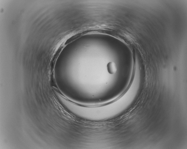 X0000057081308200509231613