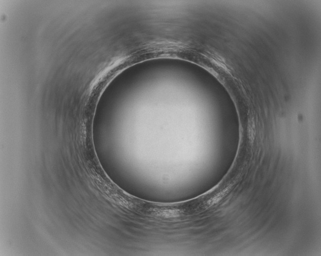 X0000057081309200509231613