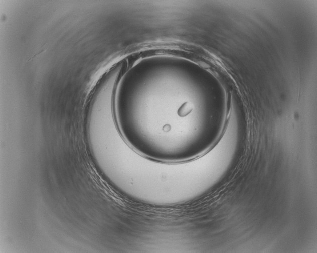 X0000057081312200509231613