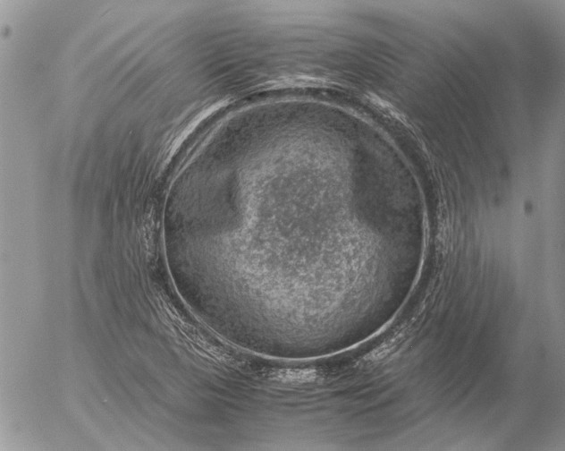 X0000057081313200509231613