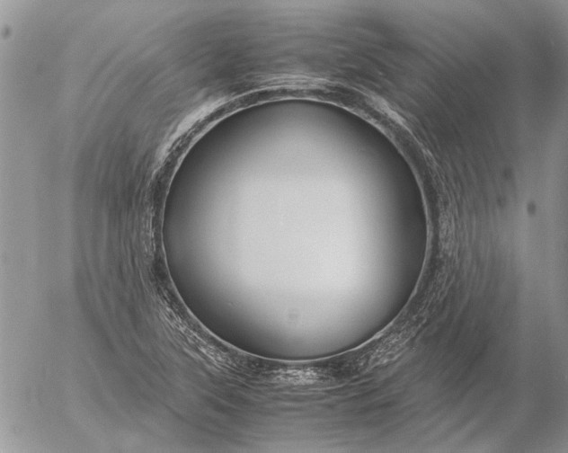 X0000057081315200509231613