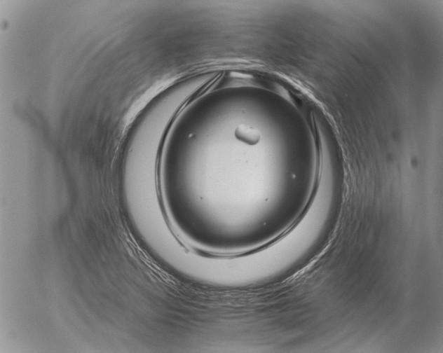 X0000057081317200509231613