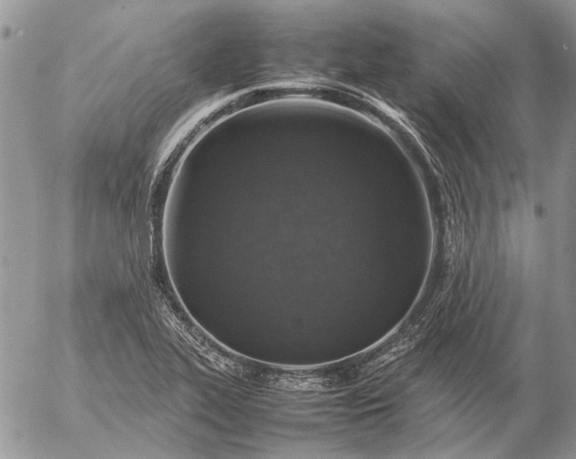 X0000057081319200509231613