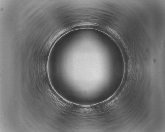 X0000057081321200509231614