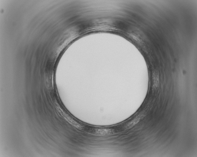 X0000057081322200509231614