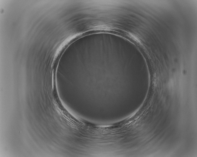 X0000057081323200509231614