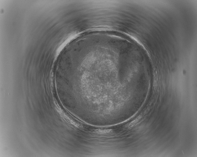 X0000057081325200509231614