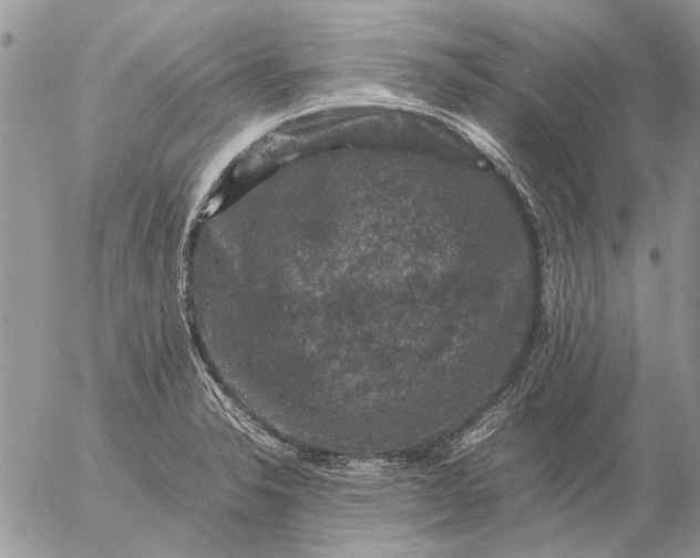 X0000057081326200509231614