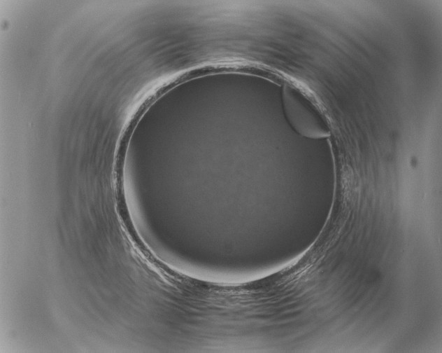 X0000057081327200509231614