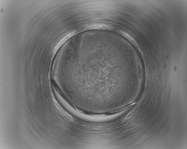 X0000057081330200509231614