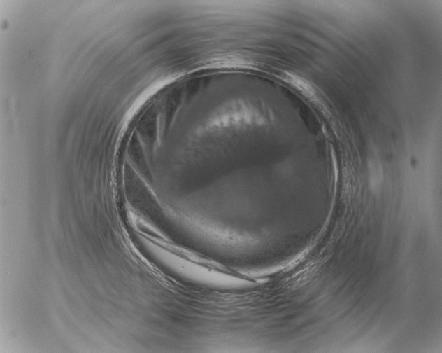 X0000057081331200509231614