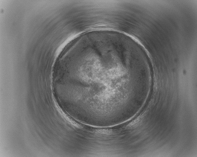 X0000057081333200509231614