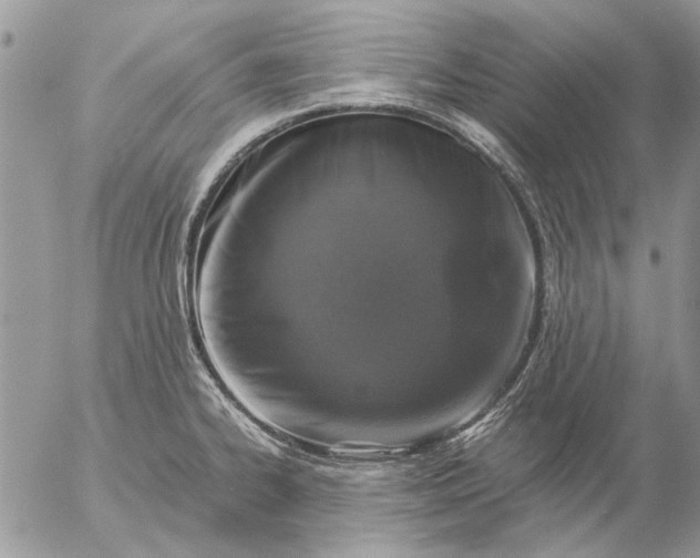 X0000057081334200509231614