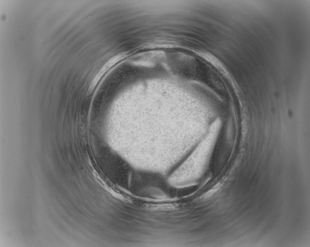 X0000057081337200509231614