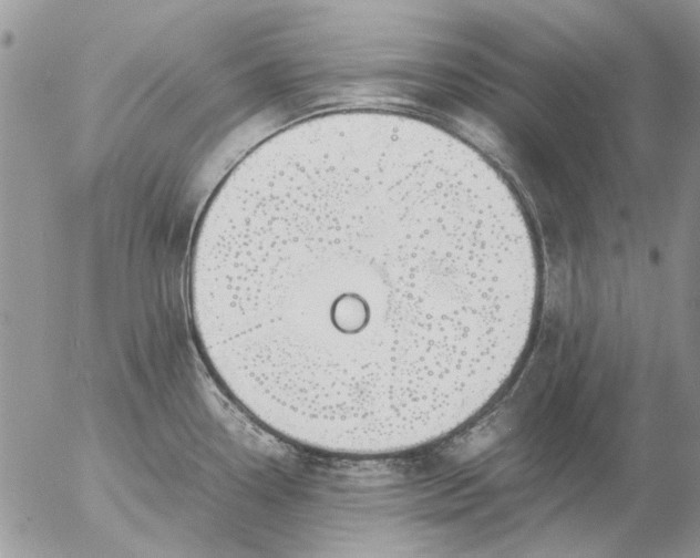 X0000057081338200509231614