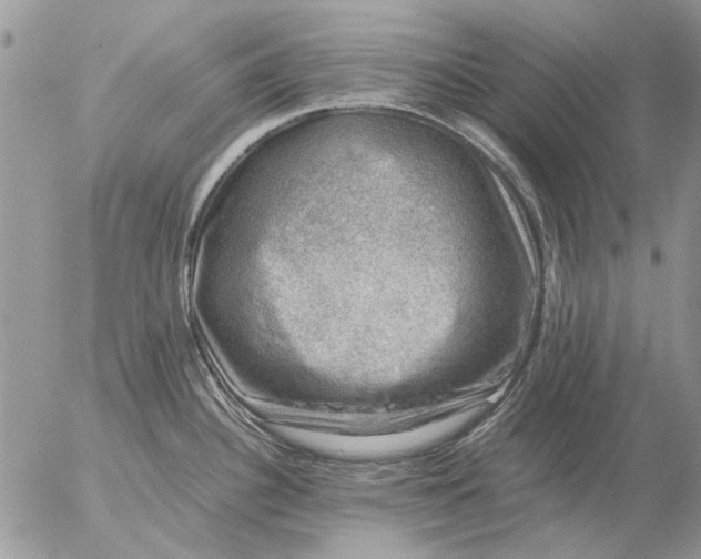 X0000057081340200509231614