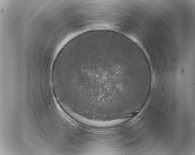 X0000057081342200509231614