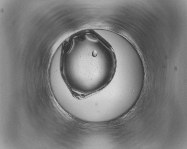 X0000057081344200509231614