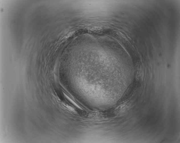 X0000057081345200509231613