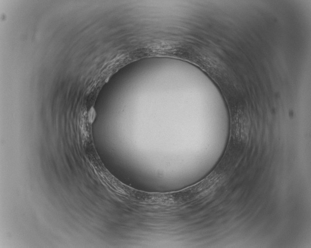 X0000057081346200509231613