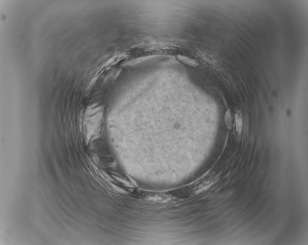 X0000057081348200509231613