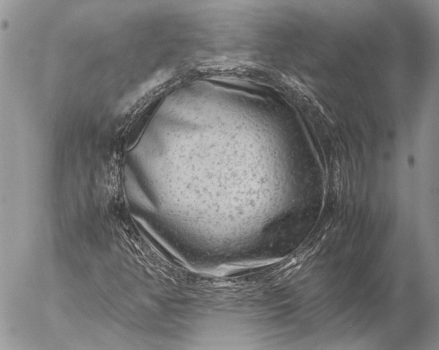 X0000057081350200509231613