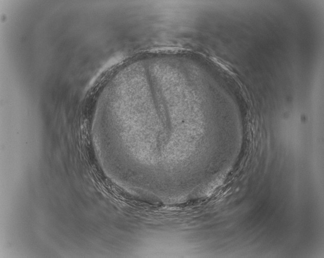 X0000057081351200509231613