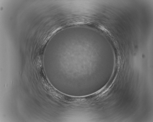 X0000057081353200509231613