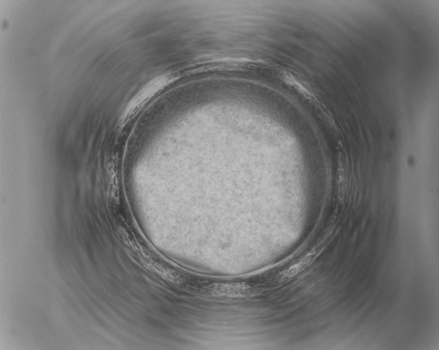 X0000057081354200509231613