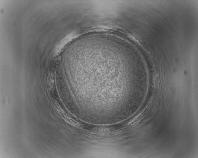 X0000057081355200509231613