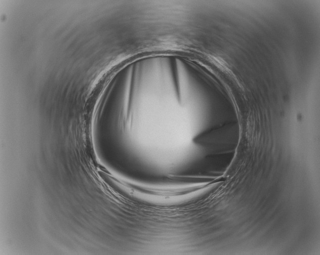 X0000057081356200509231613