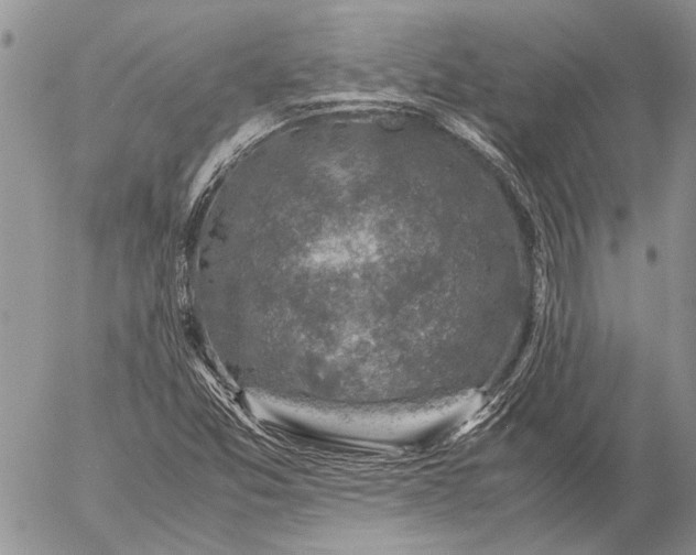 X0000057081357200509231613