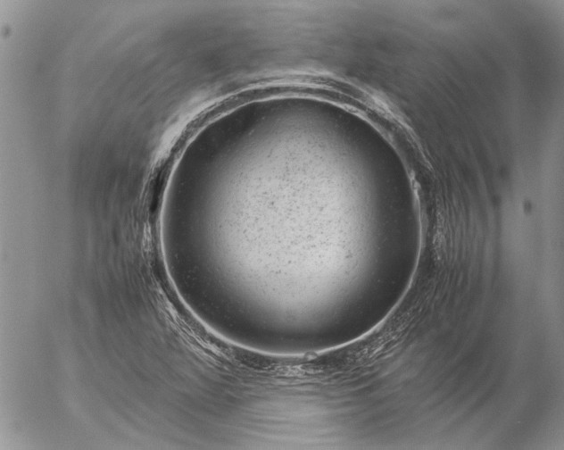 X0000057081360200509231613