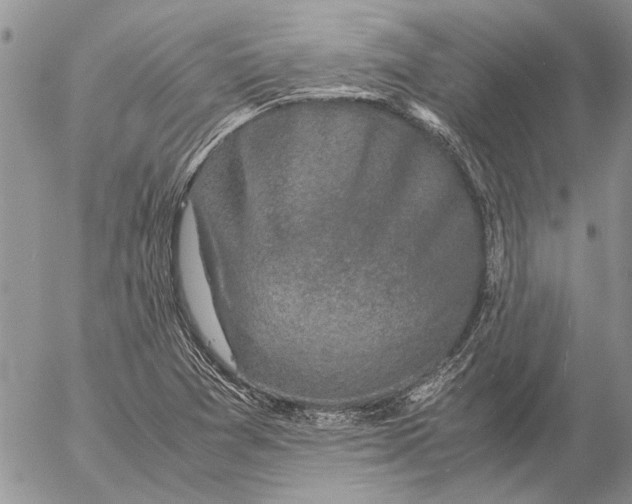 X0000057081361200509231613