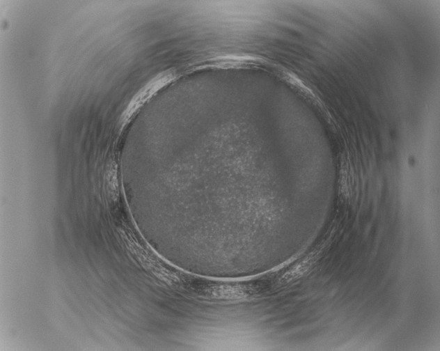 X0000057081362200509231613