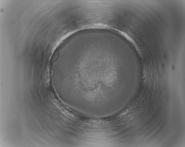 X0000057081364200509231613